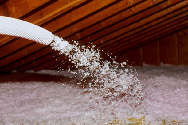 Best Eco-Friendly Insulation in Pardeeville, WI